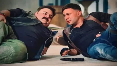 إيرادات السينما يوم الخميس: فيلم "صقر وكناريا" يتصدر والمركز الخامس لفيلم "القصص"