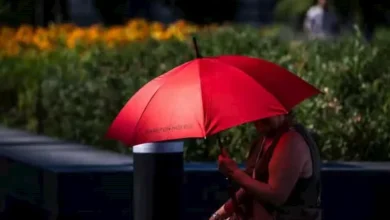 ارتفاع درجات الحرارة في أوروبا يسفر عن مئات الوفيات في فرنسا وألمانيا