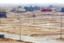 الزراعة تُشكل لجاناً فنية وإدارية لتحديد الأراضي المخصصة للتوزيع على المواطنين