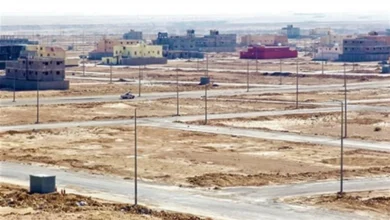 الزراعة تُشكل لجاناً فنية وإدارية لتحديد الأراضي المخصصة للتوزيع على المواطنين