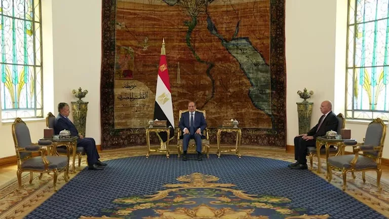 السيسي يستقبل نبيل فهمي ويؤكد دعم مصر لترشحه لمنصب أمين عام الجامعة العربية