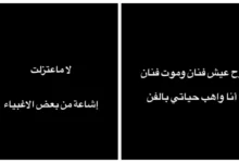 الشامي يوضح موقفه من الاعتزال بعد إلغاء حفله في ليبيا