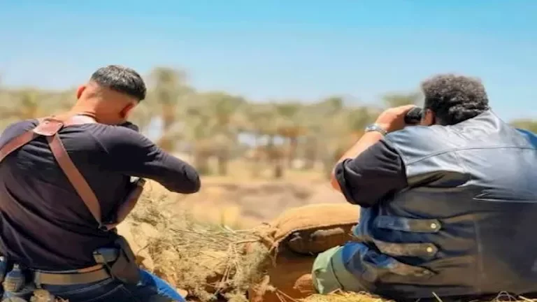 الكشف عن تفاصيل فيلم "صقر وكناريا" قبل عرضه في دور السينما