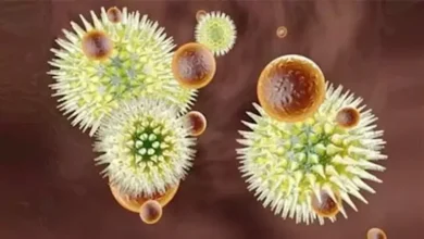 الولايات المتحدة تؤكد تعاونها مع الكونغو لمكافحة وباء الإيبولا