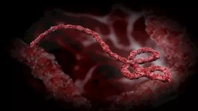 تحذيرات من مراكز أمريكية بشأن احتمال تفشي إيبولا في أفريقيا يتجاوز 20 ألف إصابة