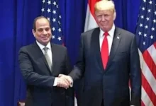 ترامب: وجود "كيمياء" مع السيسي منذ اللقاء الأول