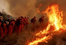 حرائق الغابات في أمريكا تسفر عن مقتل 3 إطفائيين أثناء إنقاذ السكان