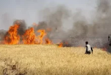 حريق كبير ي devastates الأراضي الزراعية في دير الزور السورية