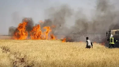 حريق كبير ي devastates الأراضي الزراعية في دير الزور السورية