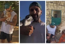 "حسن أبو الروس يتفاعل مع أسد ونسر وثعبان في تجربة فريدة (صور وفيديو)"