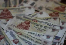 زيادة المعاشات بنسبة 15% في مصر اعتباراً من يوليو 2026