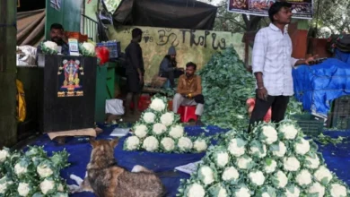 فاتورة حرب إيران تؤثر سلباً على موازنة الهند وتستنزف احتياطيات النفط