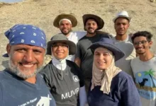 كنز مصري عمره 62 مليون سنة يكشف أسرار عودة الحياة إلى الأرض بعد انقراض الديناصورات