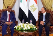 مصر تؤكد دعمها لوحدة السودان ورفضها للكيانات الموازية
