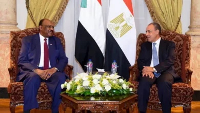 مصر تؤكد دعمها لوحدة السودان ورفضها للكيانات الموازية