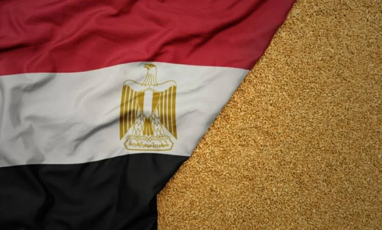 مصر تسعى لزيادة واردات القمح من بولندا وتعزيز التعاون في تخزين الحبوب