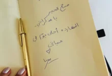 ميرنا الهلباوي تعبر عن سعادتها بعد زواجها من أحمد السعدني: "أحلى يوم في حياتي"