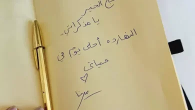 ميرنا الهلباوي تعبر عن سعادتها بعد زواجها من أحمد السعدني: "أحلى يوم في حياتي"
