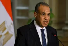 وزير الخارجية المصري يؤكد دعم بلاده للبنان