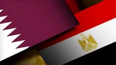 وزير الخارجية يبحث التطورات الإقليمية مع نظيره القطري