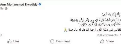وفاة والد الفنانة دينا الوديدي