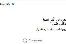وفاة والد الفنانة دينا الوديدي بعد معاناة مع المرض