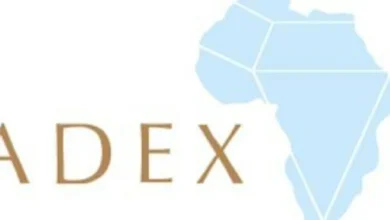 شراكة بين الكونغو الديمقراطية وسويسرا لتعزيز تسويق الألماس عبر المنصات الرقمية