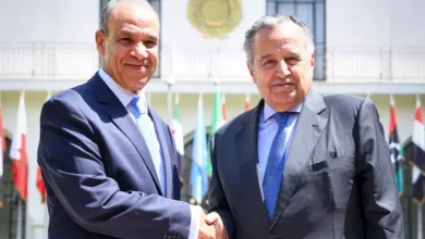عبد العاطي يهنئ نبيل فهمي بتسلمه الأمانة العامة للجامعة العربية
