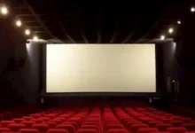 فيلم "صقر وكناريا" يواصل تصدر إيرادات الأحد بينما يتراجع "أسد الأخير"