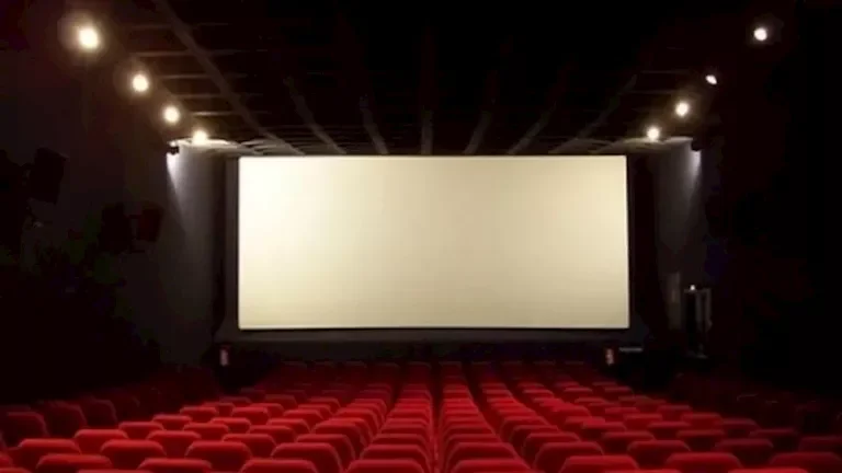 فيلم "صقر وكناريا" يواصل تصدر إيرادات الأحد بينما يتراجع "أسد الأخير"