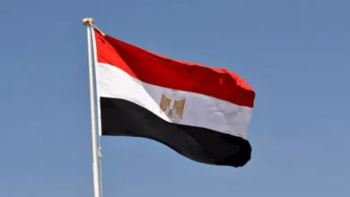مصر تعبر عن إدانتها للتفجير الإرهابي في دمشق