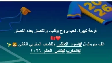 نانسي عجرم تحتفي بتأهل المغرب إلى دور الـ8: "لعب بروح وقلب"