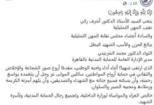 نقابة المهن التمثيلية تعبر عن حزنها لرحيل اللواء محمد الشربيني مدير الحماية المدنية بالقاهرة