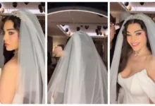 هيفاء وهبي تثير الجدل بفستان زفافها وسط زغاريد ورقص (صور وفيديو)