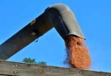 أزمة البحر الأسود تعيد هيكلة تجارة الحبوب على المستوى العالمي