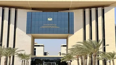 إطلاق وثيقة تأمين جديدة للمصريين في الخارج لتعويض الوفاة والفصل