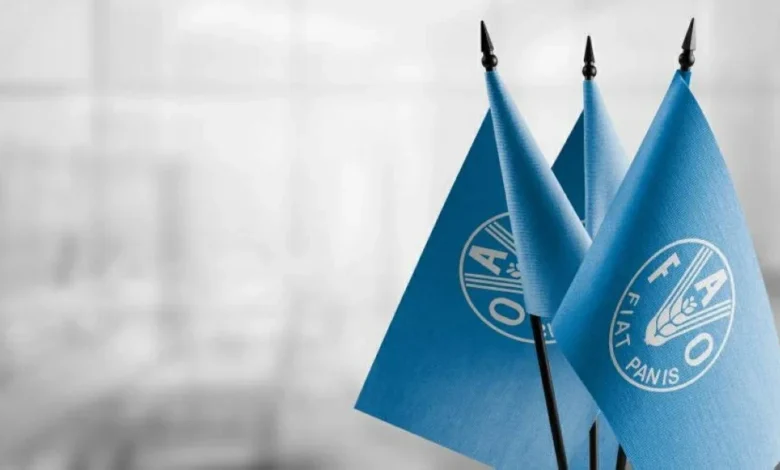 ارتفاع أسعار الغذاء العالمية إلى أعلى مستوياتها خلال أكثر من ثلاث سنوات