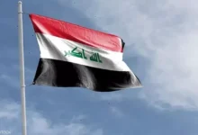 اكتشاف كهف مائي في العراق يضم أسماكًا عمياء مهددة بالانقراض