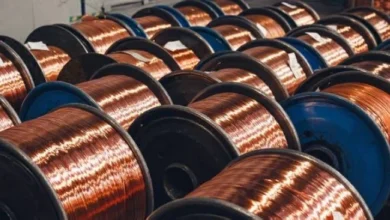 الأرجنتين وتشيلي تعززان فرص الاستثمار في قطاع التعدين بمليارات الدولارات