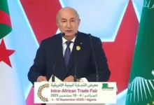 الرئيس الجزائري يوجه بتشديد العقوبات على مضرمي النيران عمدًا بعد الحرائق المدمرة