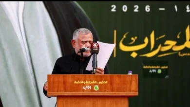العامري يؤكد عدم وجود صدام بين الدولة والمقاومة
