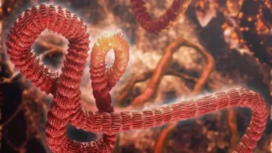 تحذير من الأمم المتحدة: إيبولا يهدد الكونغو بمعدل وفاة شخص كل 30 دقيقة