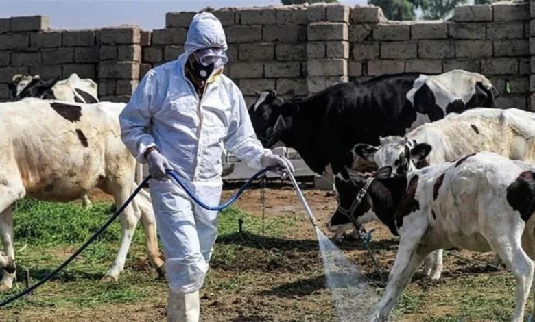 تسجيل 313 إصابة بالحمى النزفية و24 وفاة منذ بداية العام حسب وزارة الصحة