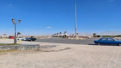 توقعات الطقس: ارتفاع درجات الحرارة مع رطوبة وشبورة حتى الثلاثاء المقبل