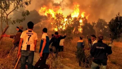 حرائق مدمرة في الجزائر تودي بحياة العشرات وت devastate الغابات