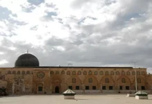 دبلوماسيون فرنسيون وبريطانيون سابقون يدعون حكوماتهم للتحرك ضد إسرائيل لحماية فلسطين
