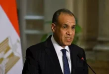 عبد العاطي: العلاقات المصرية السورية تسير بشكل طبيعي وتخدم المصلحة العربية