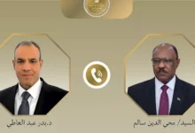 عبد العاطي ونظيره السوداني يناقشان تطورات الأوضاع وأمن البحر الأحمر