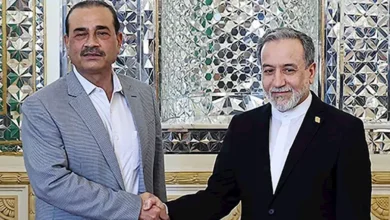 عراقجي وعاصم منير يؤكدان أهمية مواصلة الجهود لتعزيز السلام والأمن في المنطقة