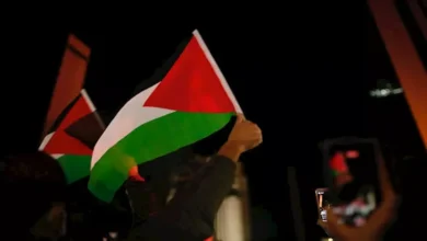 فلسطين تطالب مجلس الأمن بدعم حقوقها في الحرية وتقرير المصير
